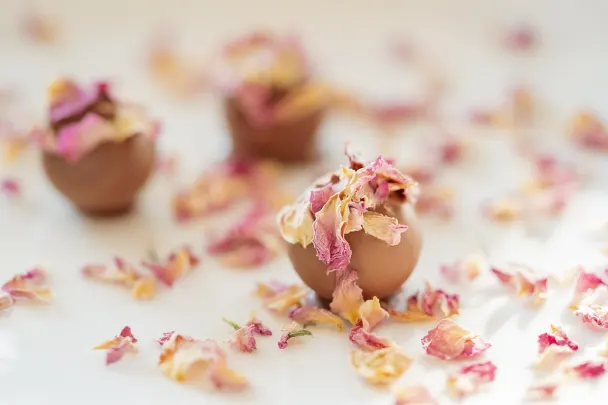 Kasino Generation VIP Android/iOS Sovellus